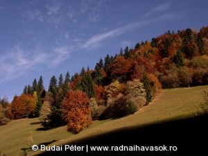 Őszi színkavalkád Borsafüreden